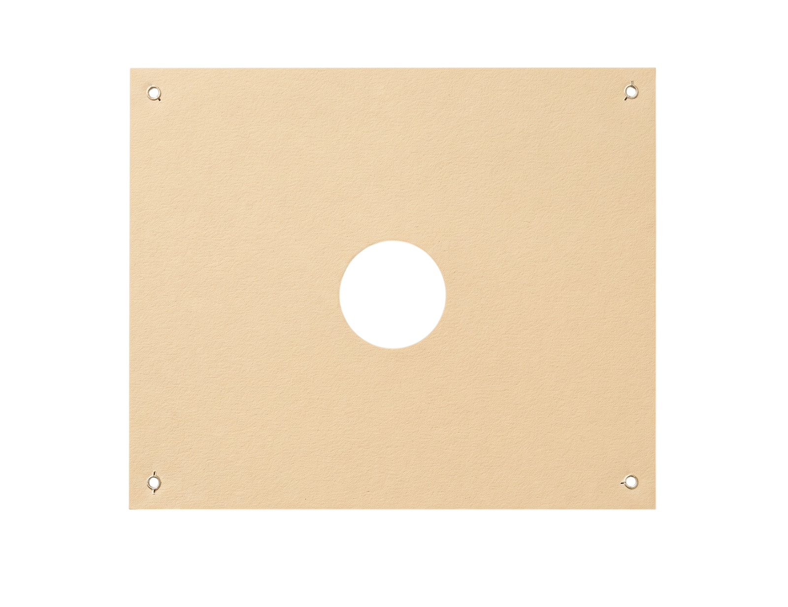 10M Electronic Target (Rifle)
